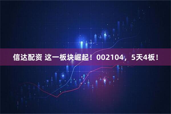 信达配资 这一板块崛起！002104，5天4板！