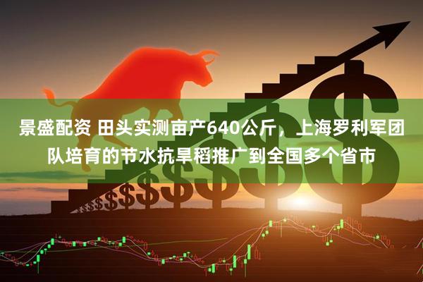 景盛配资 田头实测亩产640公斤，上海罗利军团队培育的节水抗旱稻推广到全国多个省市