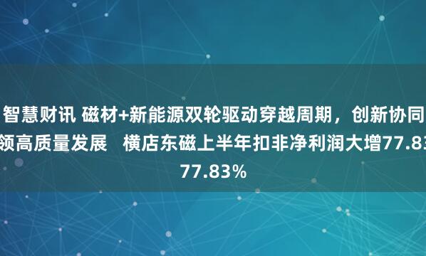 智慧财讯 磁材+新能源双轮驱动穿越周期，创新协同引领高质量发展   横店东磁上半年扣非净利润大增77.83%