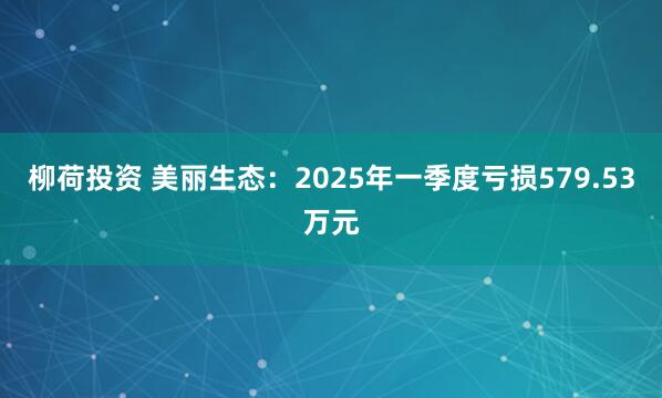 柳荷投资 美丽生态：2025年一季度亏损579.53万元