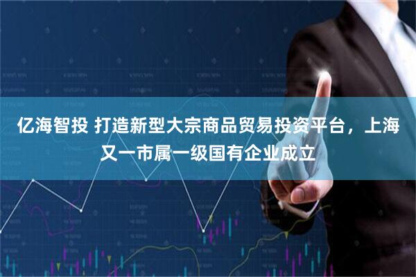 亿海智投 打造新型大宗商品贸易投资平台，上海又一市属一级国有企业成立